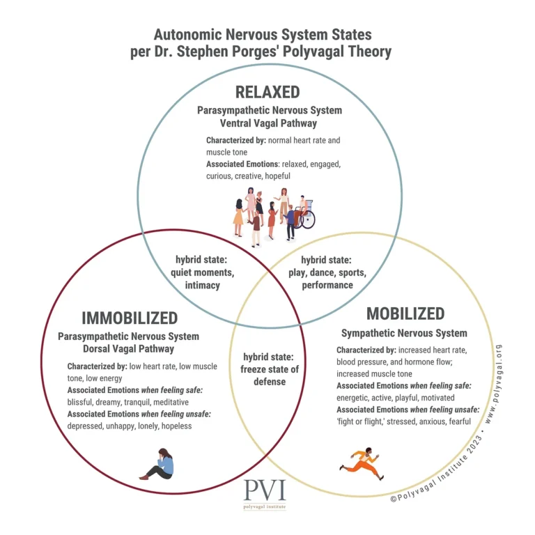 Polyvagal Theory at Astra Counseling